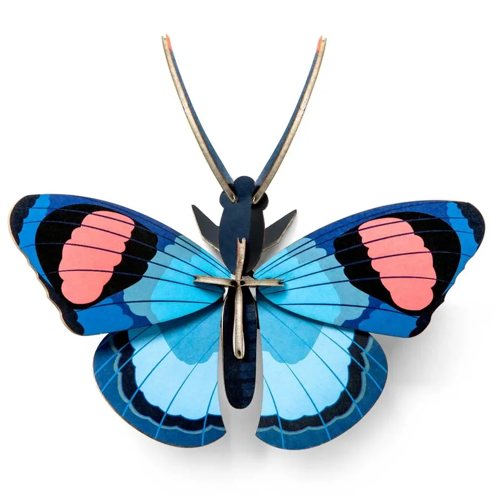 "studio ROOF 3D papillon bleu carton image"