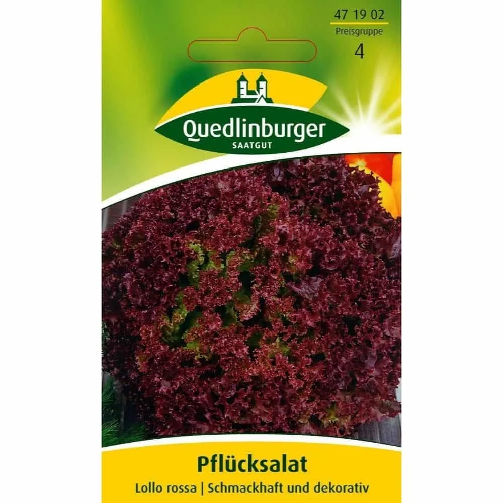 "Salade à Couper Lollo Rossa, Graines de Salade Décorative et Productive image"