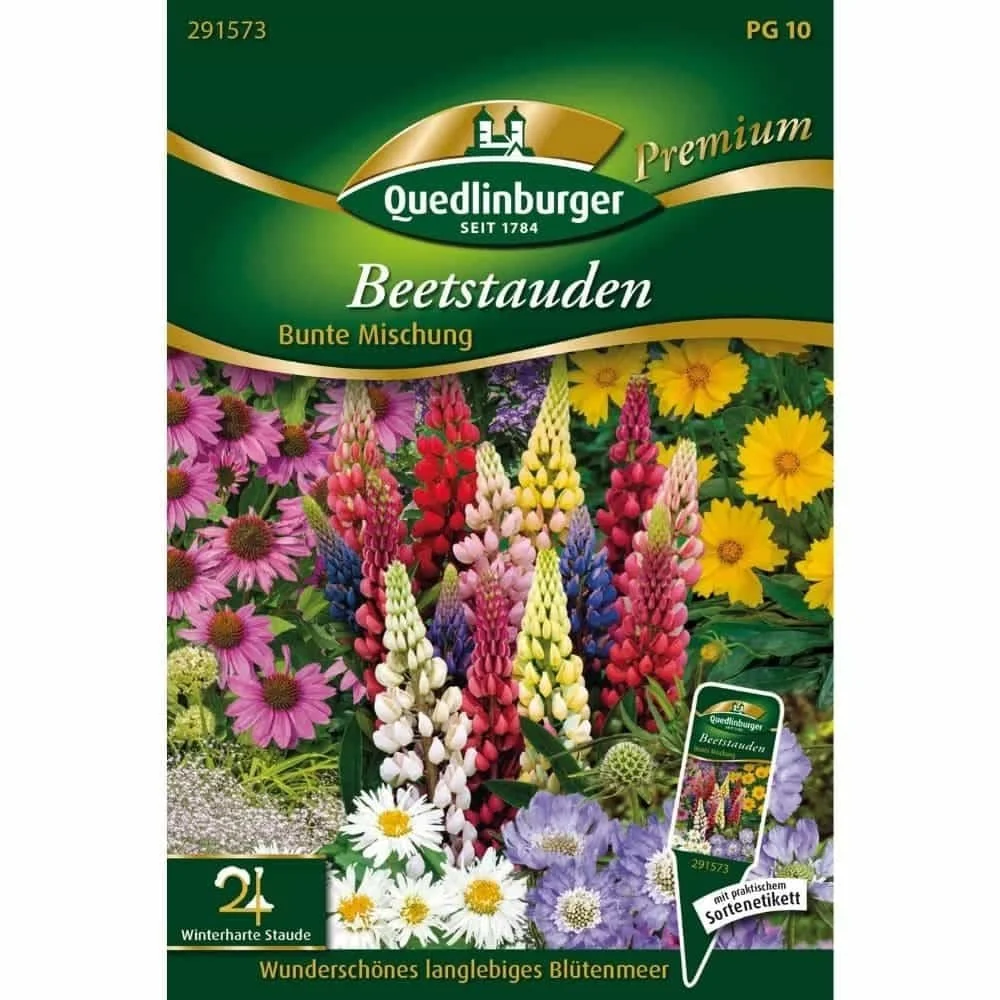 "Mélange de fleurs vivaces pour massifs fleuris image"