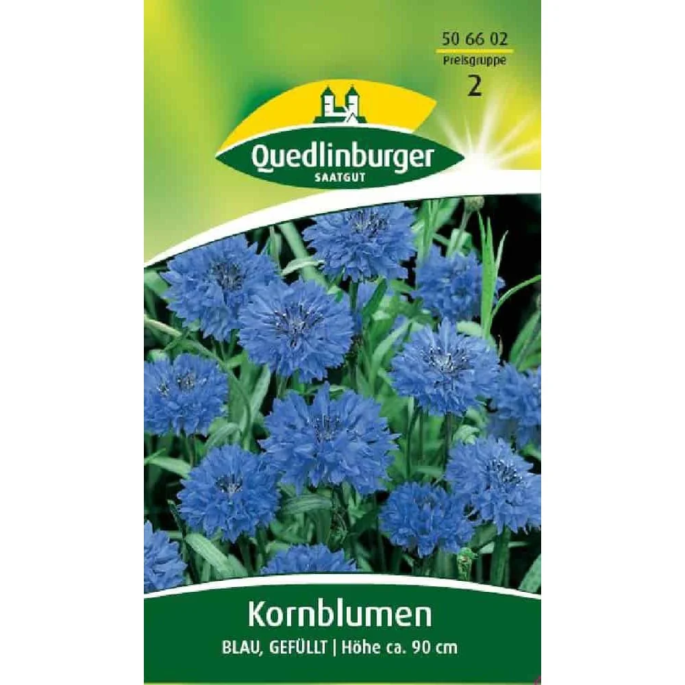 "Graine de Bleuet Bleu Double : Embellissez Votre Jardin image"