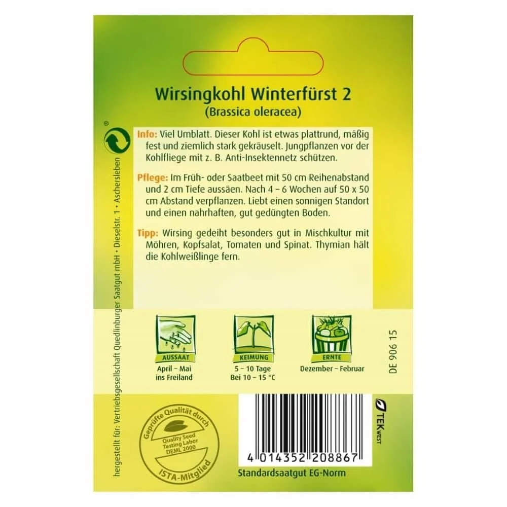 "Chou Frisé Winterfürst 2 - Semences de Chou de Savoie image"