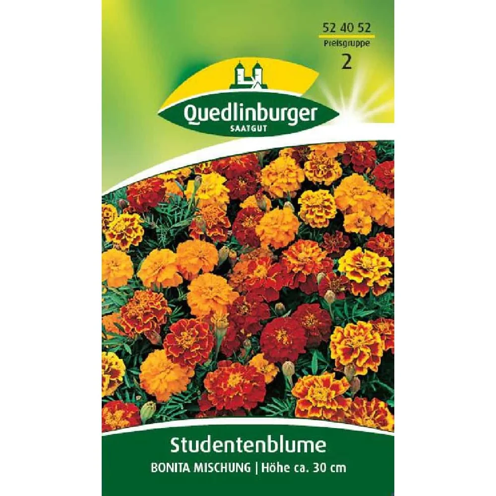 "Graines de Tagetes ta : Mélange Coloré pour Massifs & Balcons image"