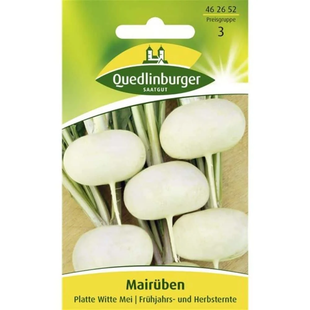 "Navet de Mai, Platte witte (Flache weiße) image"