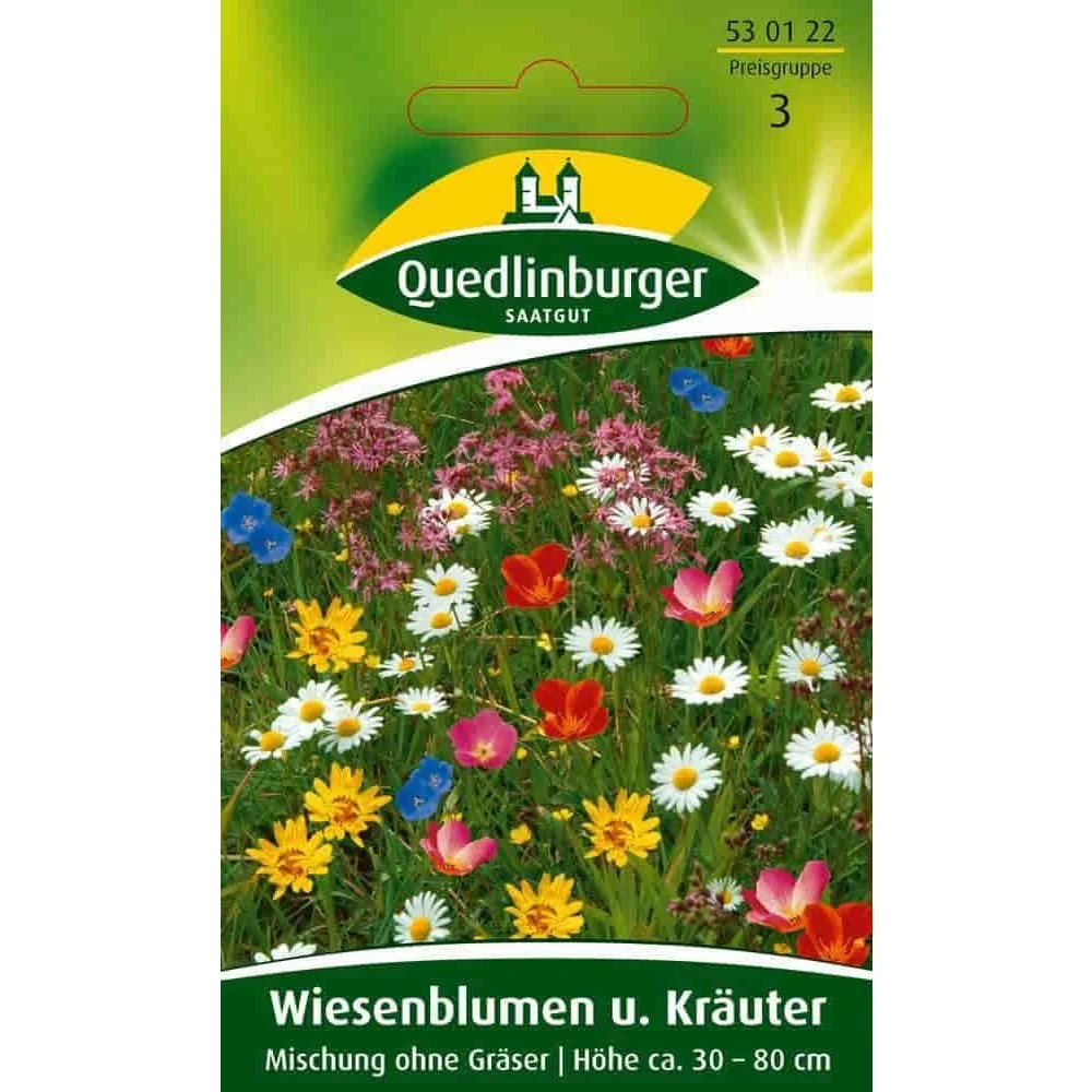 "Mélange de Fleurs Sauvages et d'Herbes Aromatiques image"