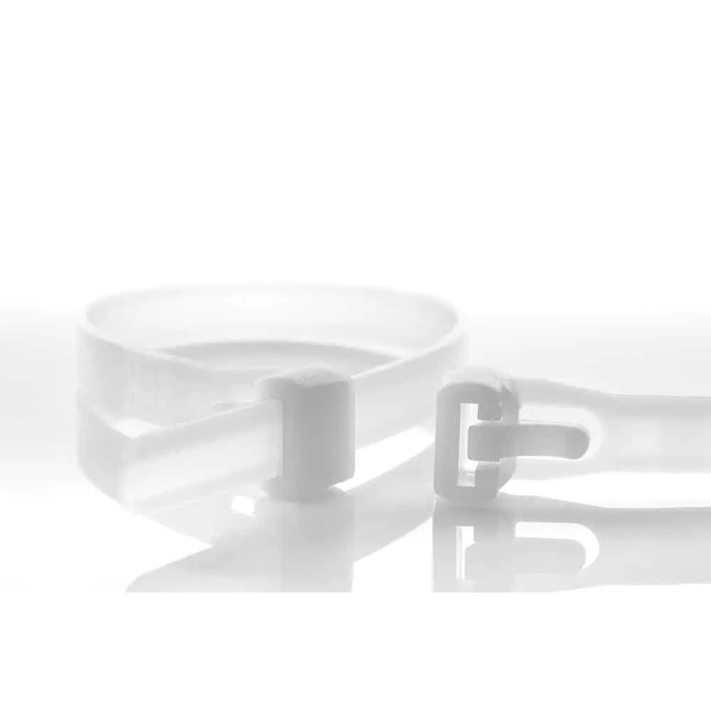 "Serre-câbles Réutilisables 100mm, Naturel, Polyamide, Lot de 100 image"