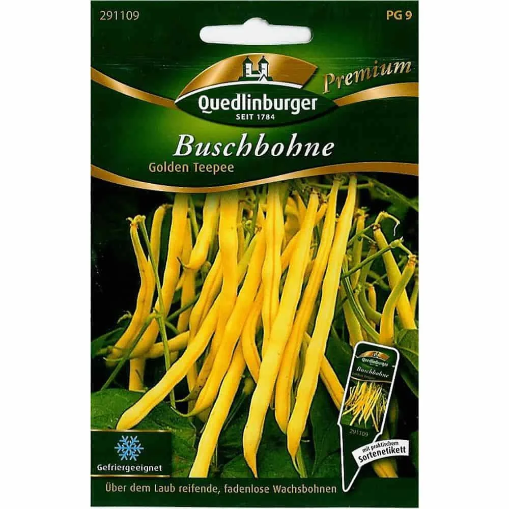Graines de haricots nains 'Golden Teepee' - Semences
