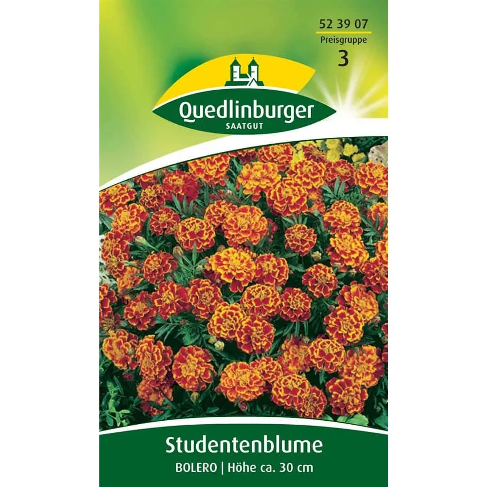 "Rose d'Inde, Bolero image"