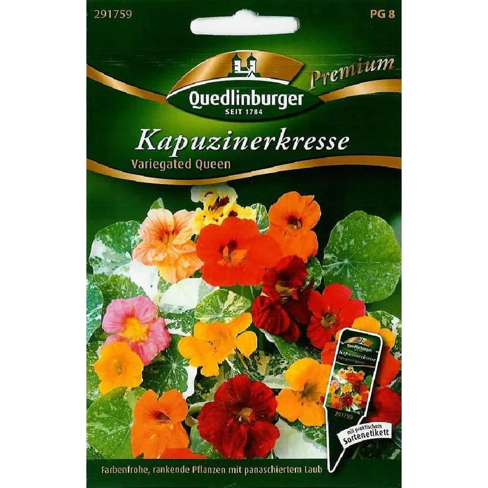 "Graines de Capucine Variegated Queen, Plante Grimpante Comestible image"