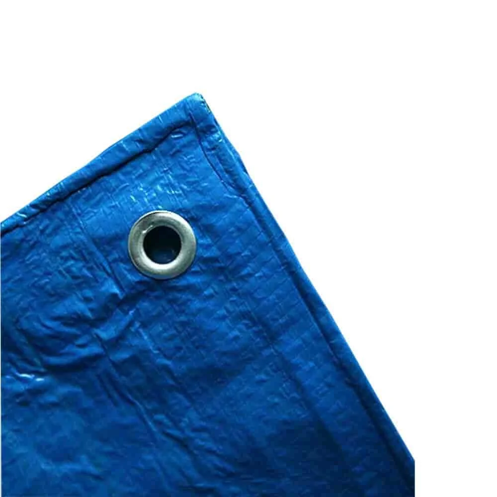 "Bâche de Protection Bleue 3x5m (15m²) - Polyéthylène, Résistante & Imperméable image"