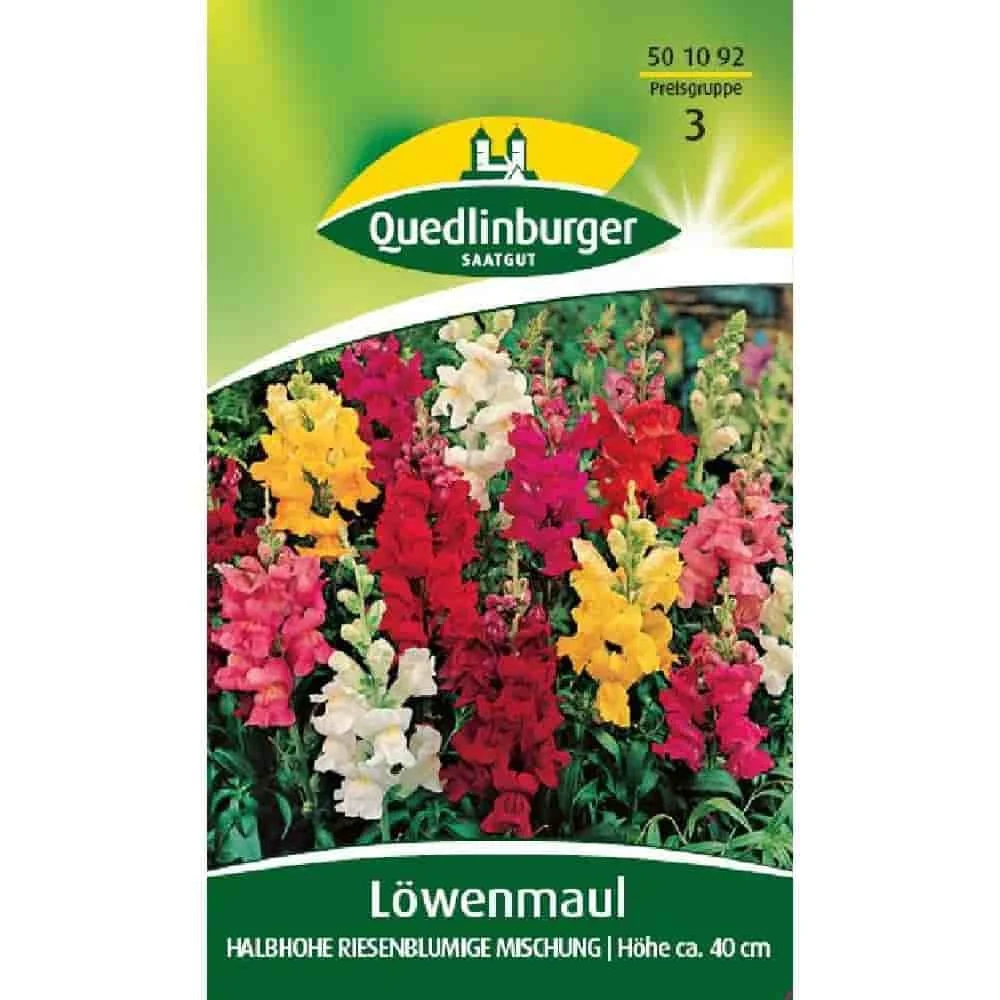 "Graines de Gueule de Loup, Mélange Coloré, Fleurs de Jardin image"