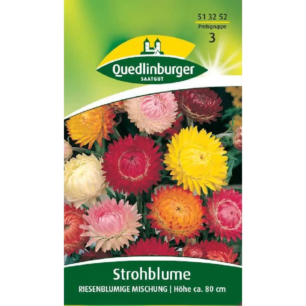 "Graines de Strohblumen Mélange Géant, Fleurs Séchées Jardin image"