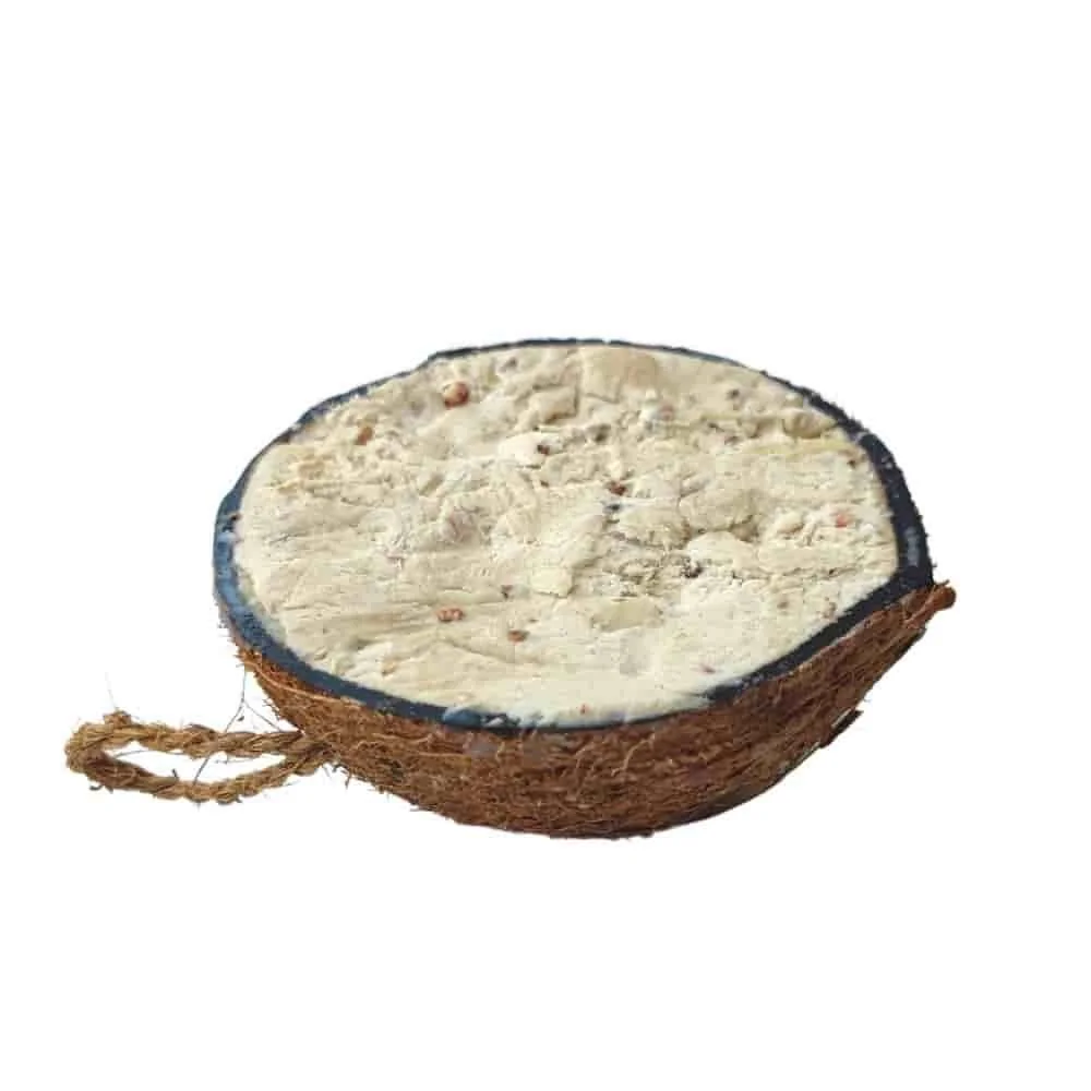 "Nourriture oiseaux sauvages, Kokosnuss Erdnuss, 1/2, alimentation oiseaux sauvages, graines oiseaux sauvages image"