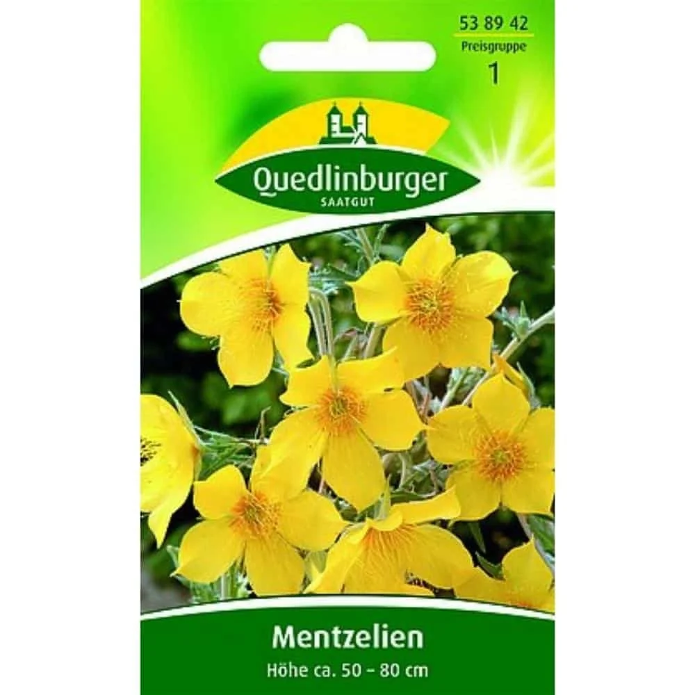 "Mentzelia Lindleyi : Graines d'Étoile d'Or Parfumée et Mellifère image"