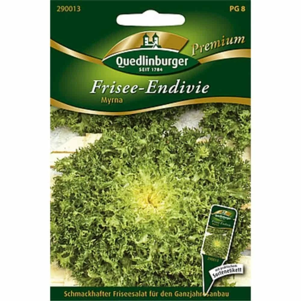 "Graines d'endive frisée Myrna, Semis facile, Acheter en ligne image"