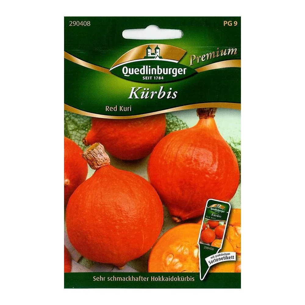 "Graines de Courge Potimarron Red Kuri, Semis Faciles image"