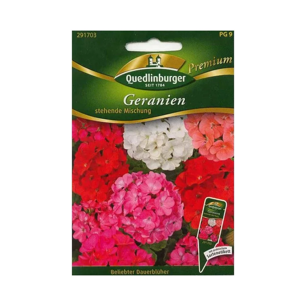 "Mélange de Géraniums Dressés : Fleurs Colorées pour Balcon et Jardin image"