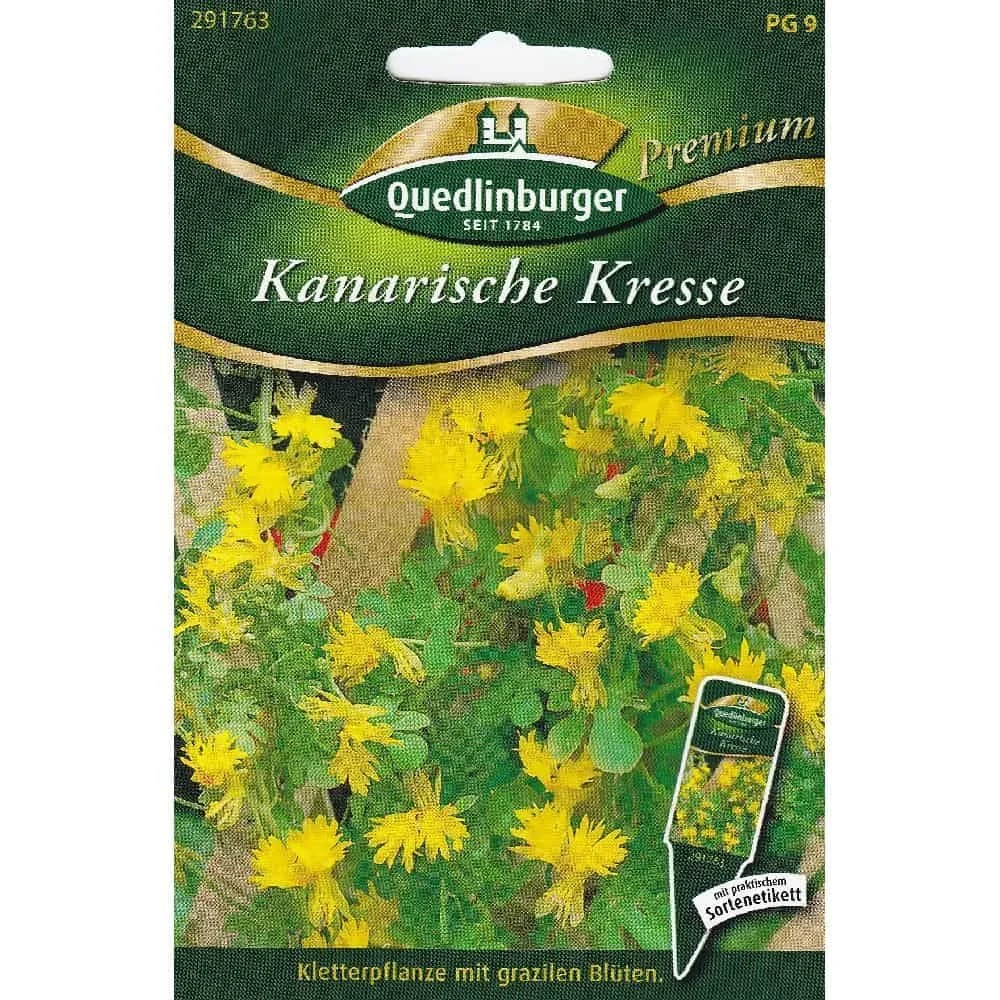 "Graines de plantes grimpantes : Cresson des Canaries, floraison jaune rapide image"