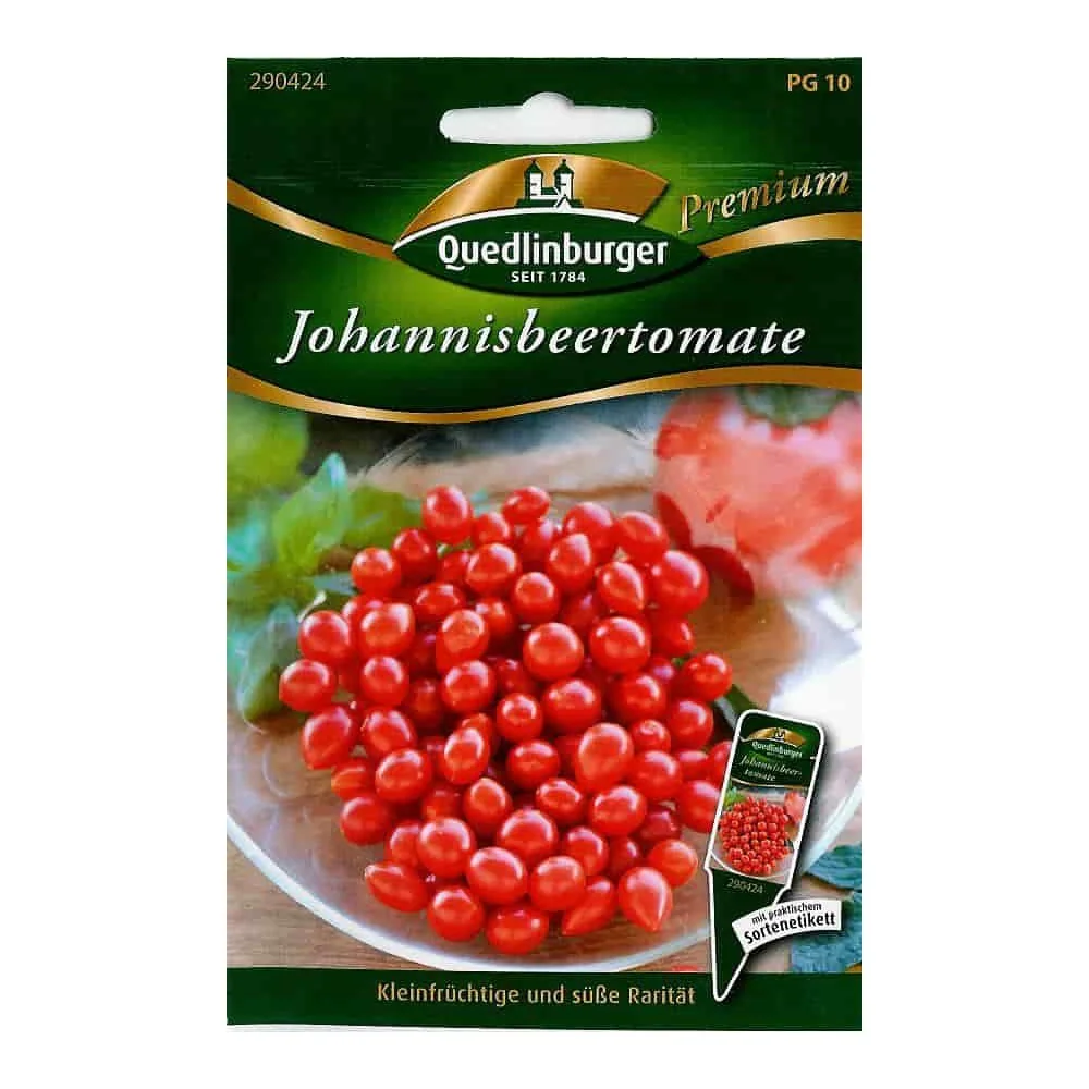"Plant de tomate cerise, plants de tomates anciennes, tomate cocktail image"
