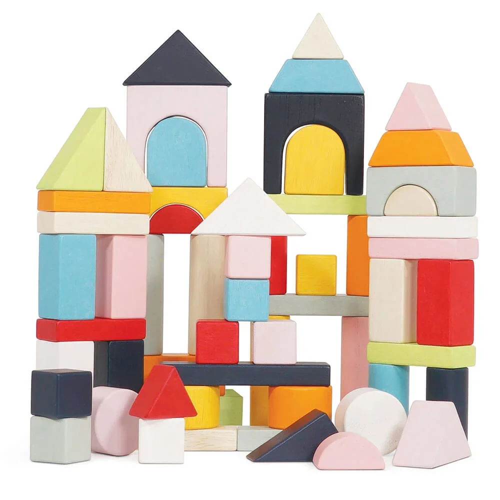 Le Toy Van 60 Blocs de construction bois pastel multicolore