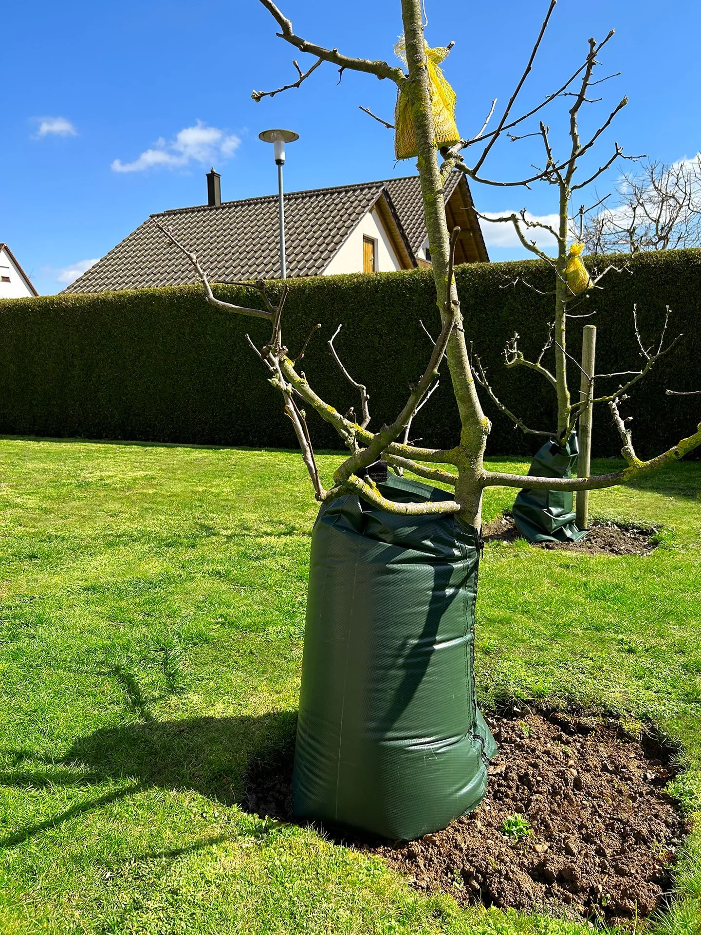 "Sac d'arrosage pour arbre - 77 litres - Arrosage Goutte à Goutte image"