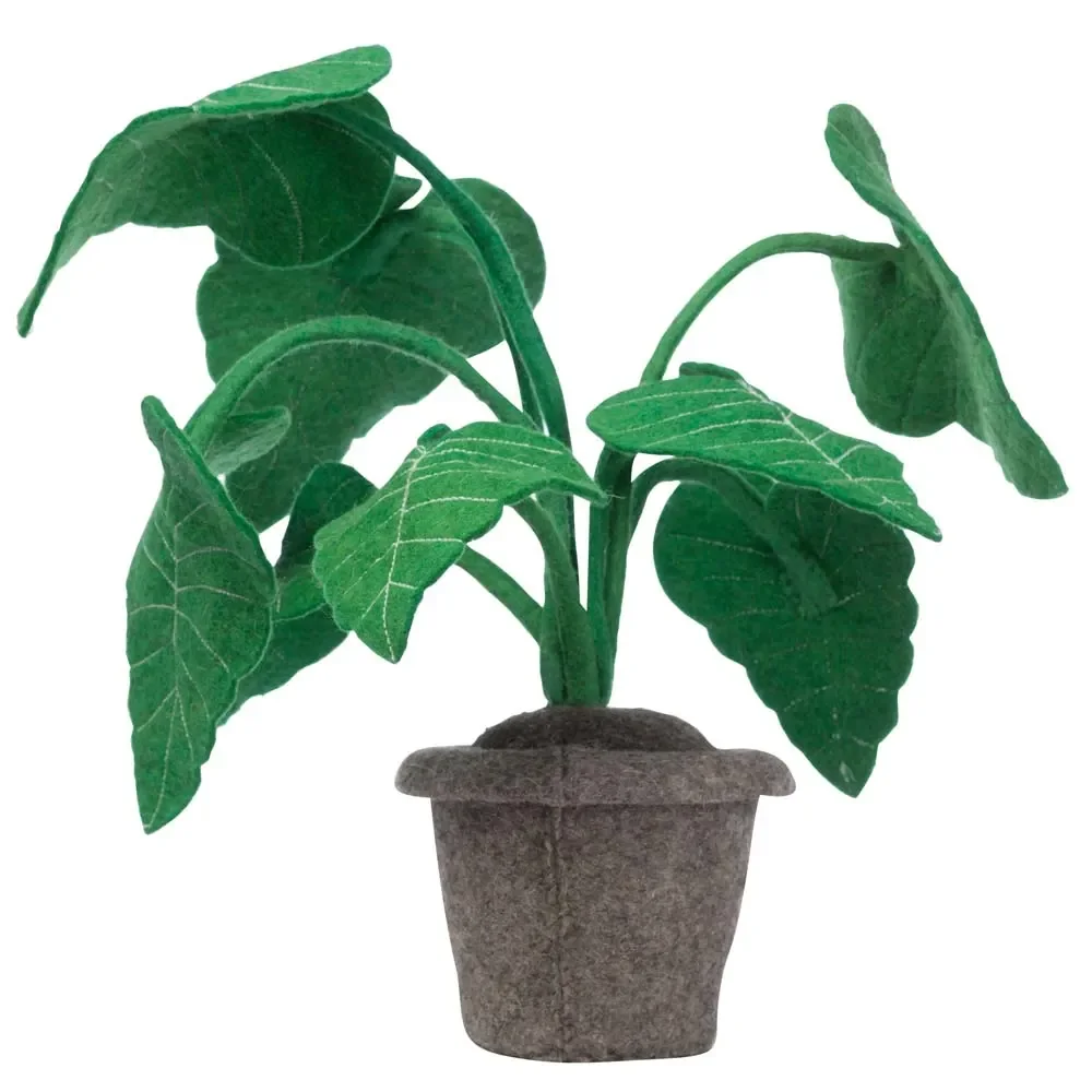 "Kidsdepot Décoration Plante feutre Alocasia image"