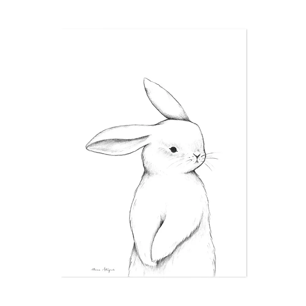 "Lilipinso Poster Lapin de face image"