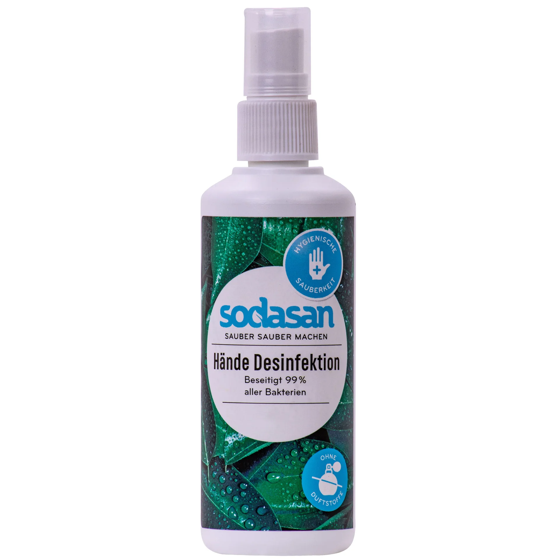"Désinfection des mains, 100 ml spray désinfectant mains, format voyage image"