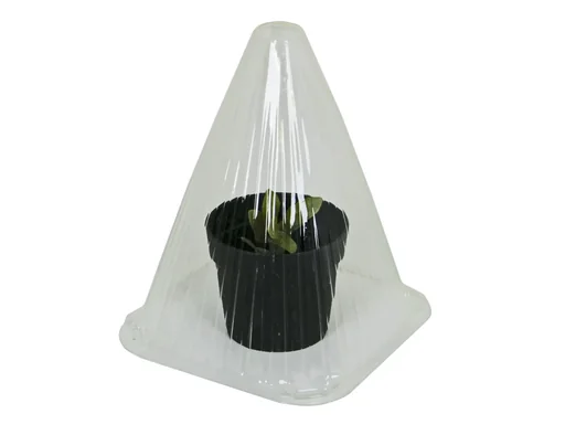 "Cloches de culture pour semis, 10 pièces image"