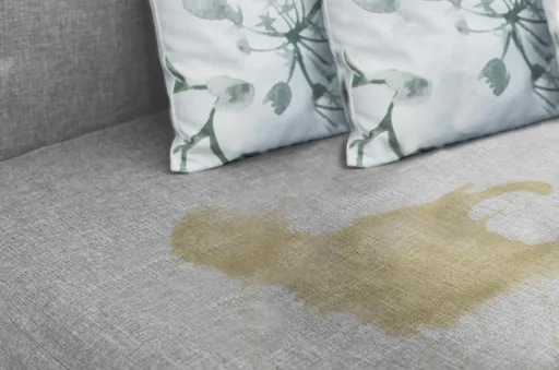 "Détachant urine Urin Ex, 650 ml image"