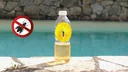 Piège à guêpes pour bouteilles, lot de 6