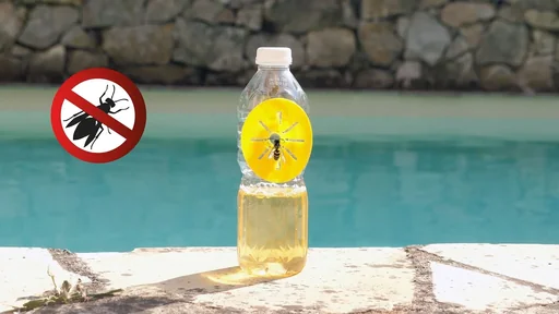 "Piège à guêpes pour bouteilles, lot de 6 image"