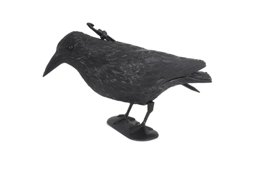 "Épouvantail à pigeons Corbeau image"