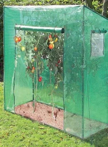 "Serre à tomates "Grande", env. 200 x 77 x 170 cm, L x l x H image"