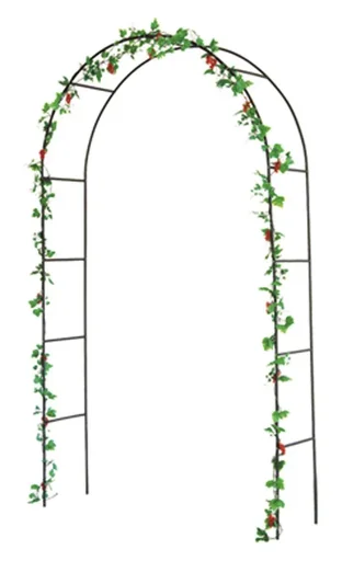 "Arceau à rosiers image"