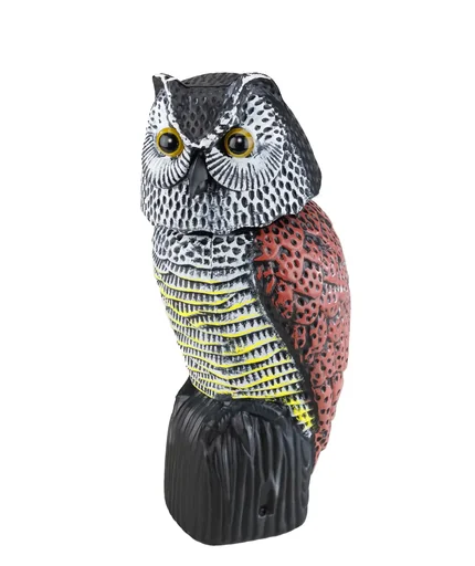 "Hibou oscillant au vent image"