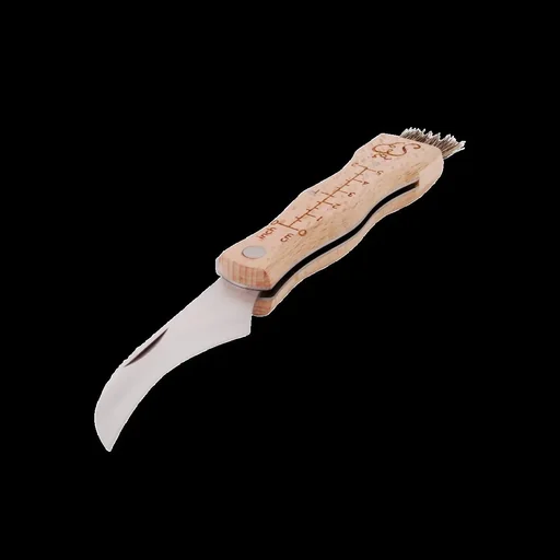 "Mushroom knife with brush image"