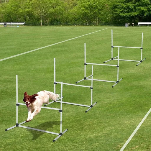 "Agility hurdle set as a set of 4 white image"