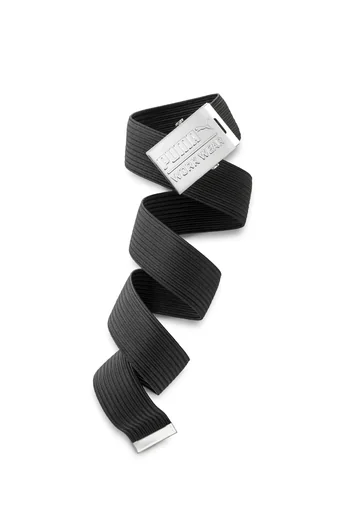 "CHAMP belt, black image"