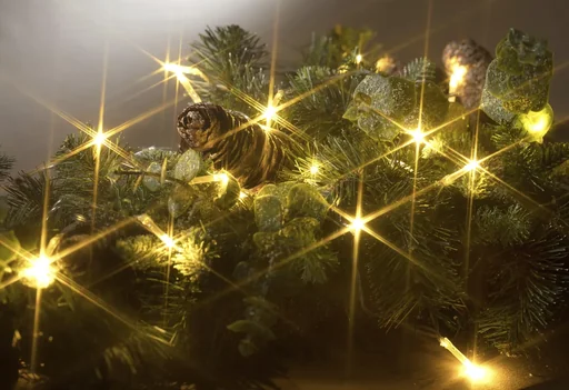 "LED light chain with 50 warm white LEDs, battery operated image"