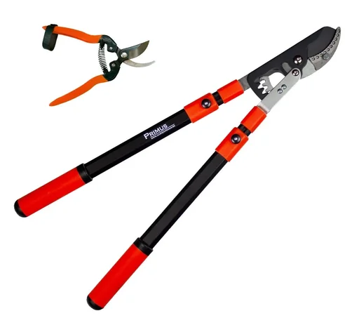 "Geared pruning shears and rose miracle shears image"