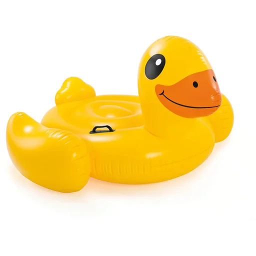 "inflatable duck image"