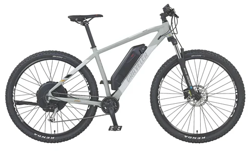 "Unisex E-Bike MTB 29 inches, frame size 48 cm, 9-speed derailleur, matte gray, GRAVELER 22.EMM.20 image"