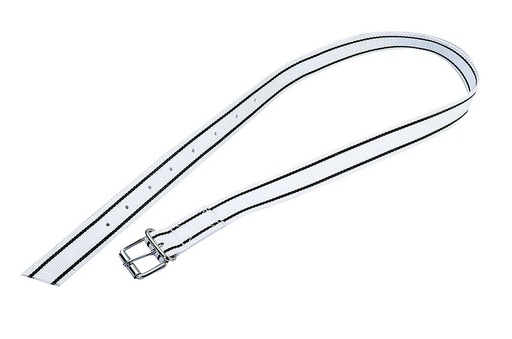 "Marking collar with roller buckle - for cows and bulls image"