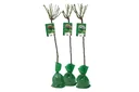 Flower-up 3er-Set XXL Colourmix Starflowers 120-140cm