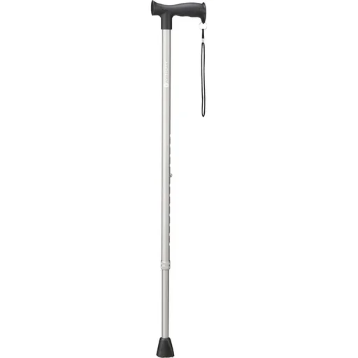 "walking stick image"