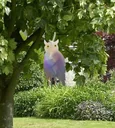 Bird scarer "Owl"