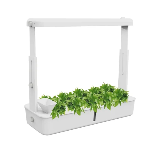 "Plant breeding station indoor greenhouse LED image"