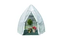 Polytunnel greenhouse winter tent avocado