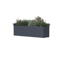 Westmann Bac à plantes Talus M Métal anthracite