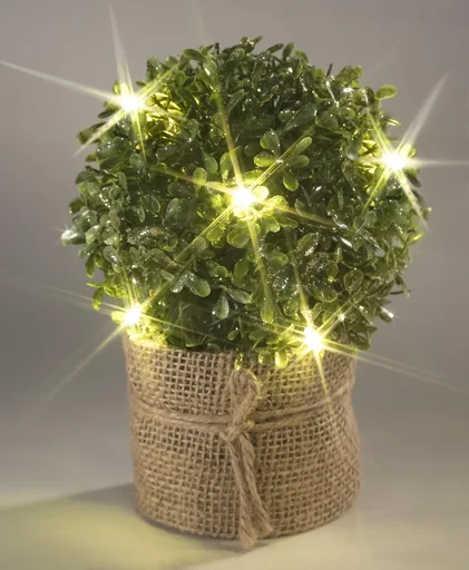 "Boxwood round with golden glitter and LED lighting image"